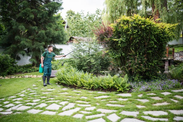 Best Local Pest Control Services  in Avra Valley, AZ
