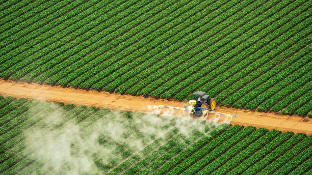 Best Pest Control Cost  in Avra Valley, AZ